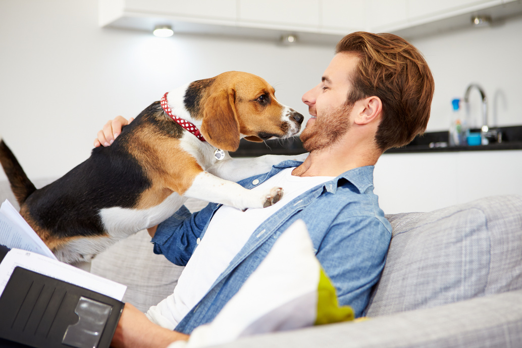 Man with Pet Dog at Home